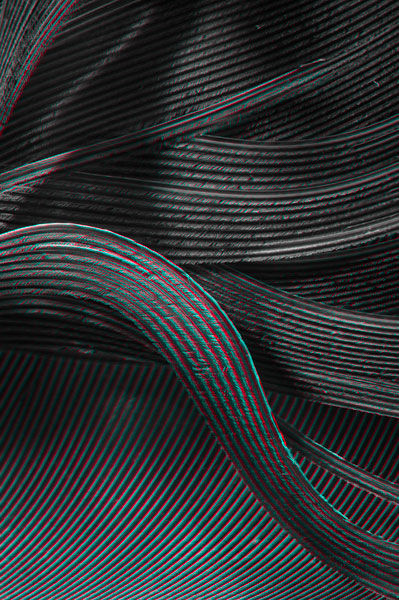 3D anaglyph of a bird feather
